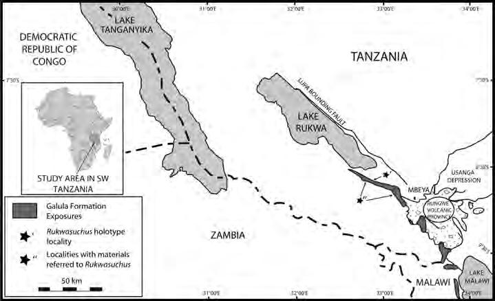 SERTICH AND O CONNOR CRETACEOUS CROCODYLIFORM FROM TANZANIA 577 TABLE 1. African crocodyliforms from Cretaceous non-marine sediments.