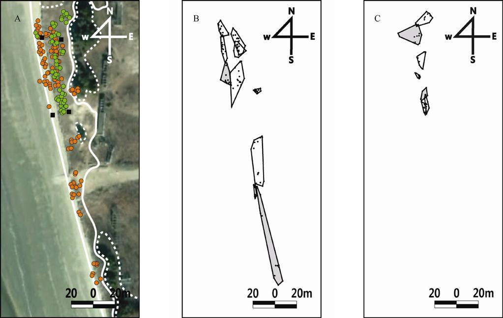 No. 2 Il-Hun KIM et al. Habitat Use of an Endangered Lizard 137 hibernacula on 26 or 30 October or on 2 November.