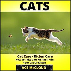 Cats: Cat Care-