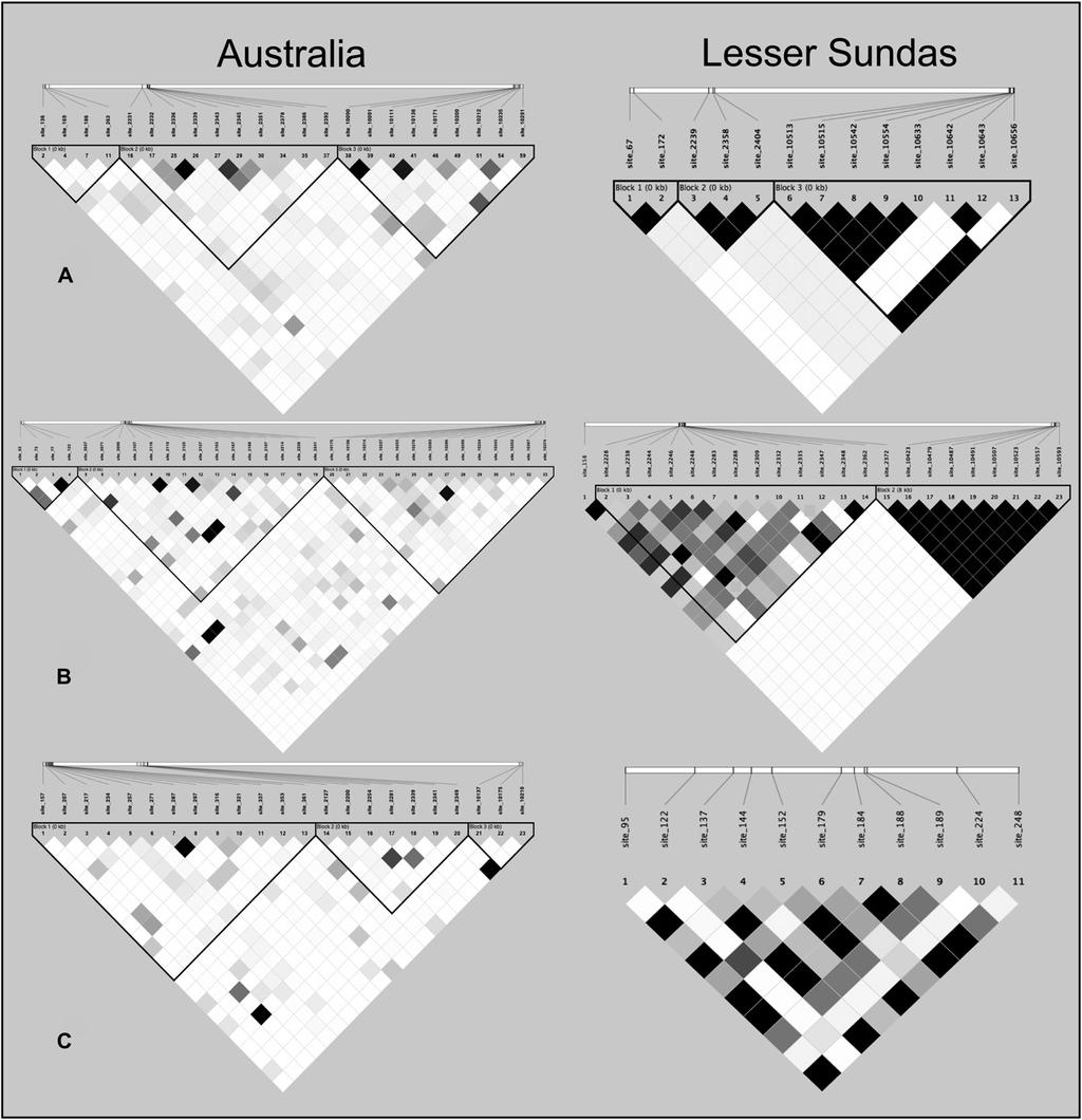 Polymorphism, LD and Speciation in Zebra Finches 655 Figure 6. Enhanced LD measured as r 2 across 10-kb trios in Timor vs. Australian zebra finches.