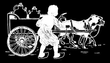 "The dogs knew where to take the milk almost as well as Karl" Karl had two trusty dogs, and every morning he harnessed them to a little cart.