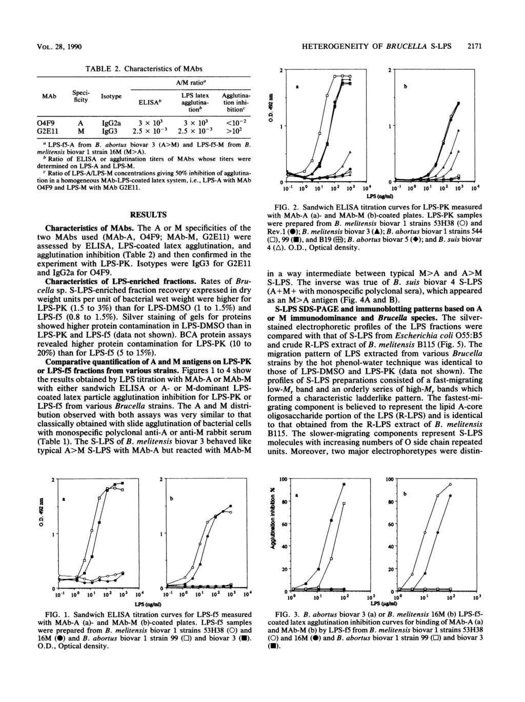 VOL. 28, 1990 TABLE 2. Characteristics of MAbs A/M ratioa MAb Specificity Isotype ELISAb LPS agglutinalatex Agglutina- tion inhitionb bitionc 04F9 A IgG2a 3 x 103 3 x 103 <10-2 G2E11 M IgG3 2.