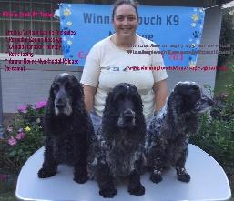 WINNING TOUCH K9 MASSAGE Remedial Canine Massage, Laser & Other therapies with Sue Winn Qualified Canine massage therapist DOGS LOVE MASSAGES I love helping dogs live a full, fun happy, healthy life