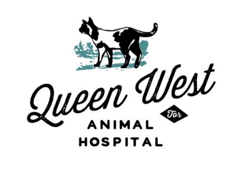 Queen West Animal Hospital Animal Haus 931 Queen St West Toronto On, M6J 1G5 416-815 -8387 animalhaus@queenwestvets.