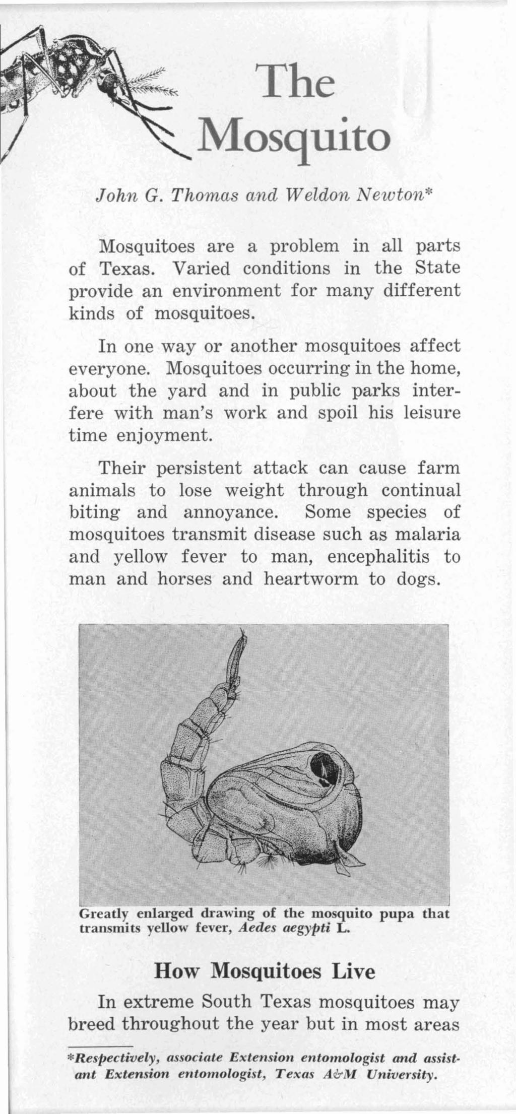 The Mosquito John G. Thomas and Weldon Newton* Mosquitoes are a problem in all parts of Texas. Varied conditions in the State provide an environment for many different kinds of mosquitoes.