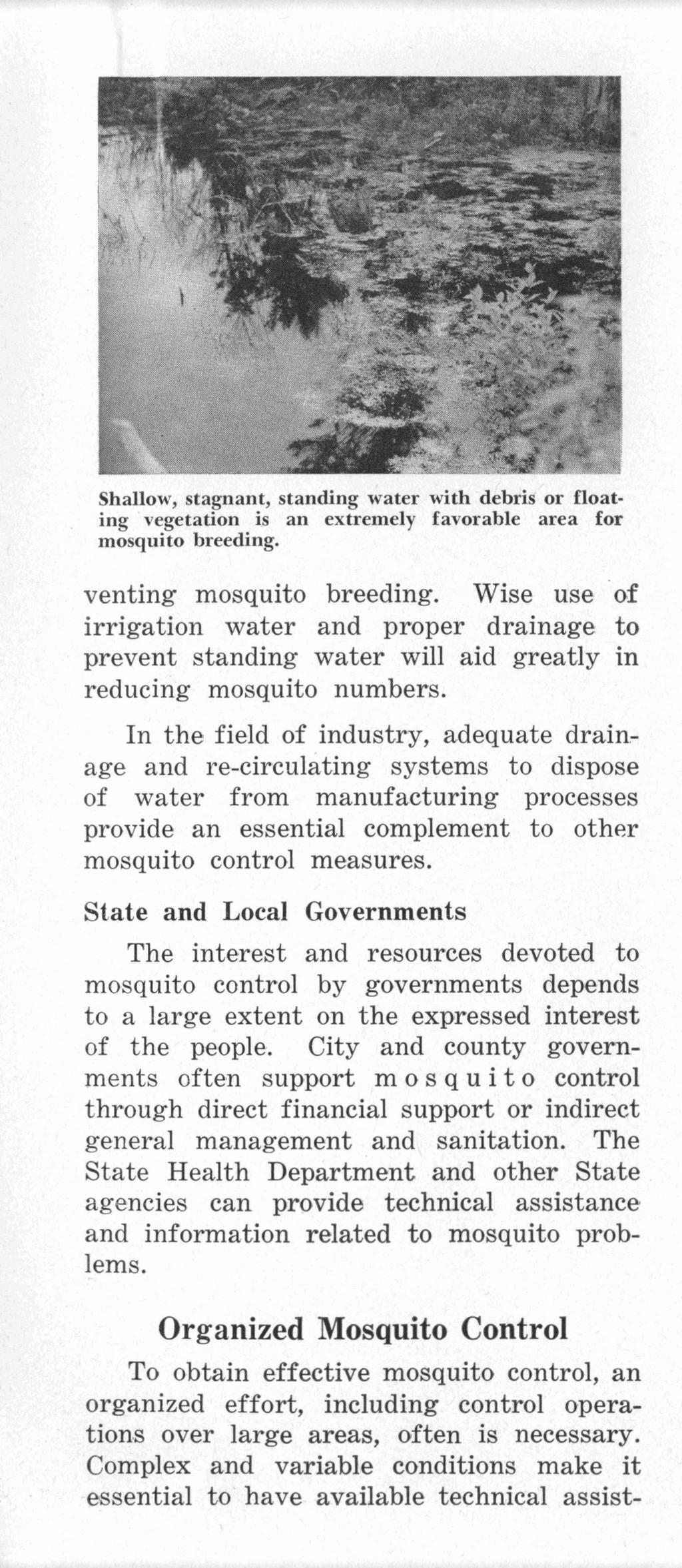 hallow, tagnant, standing water with debri or floating vegetation is an extremely favorable area for mosquito breeding. venting mosquito breeding. Wise use.