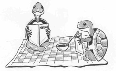 ACTIVITY #6: TODAY S PICNIC SPECIALS ARE SPECIES OF TURTLE: WHAT TYPES OF FOOD DOES YOUR TURTLE ENJOY EATING? WHAT WILL BE THE NAME OF YOUR PICNIC LOCATION?