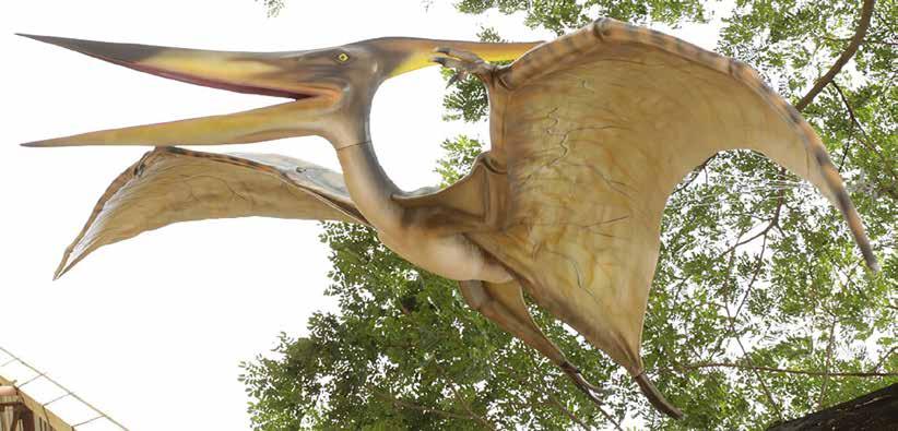 DINOSAURS Pteranodon 120010F Pteranodon -