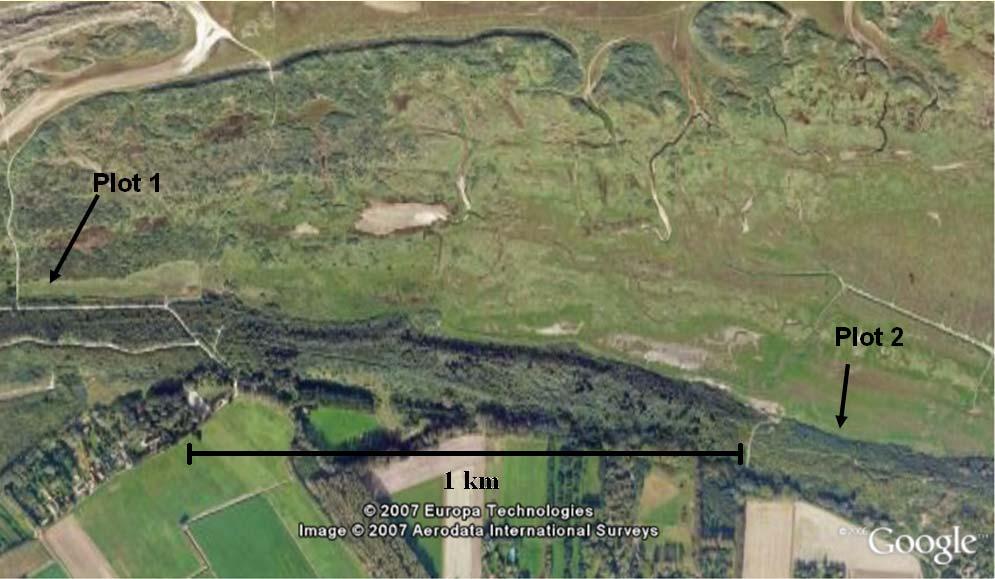 Figure 5: The Kwade Hoek from Google earth. The two plots (KH1 and KH2) are shown. Table 1: Ground and tree vegetation of the different plots.
