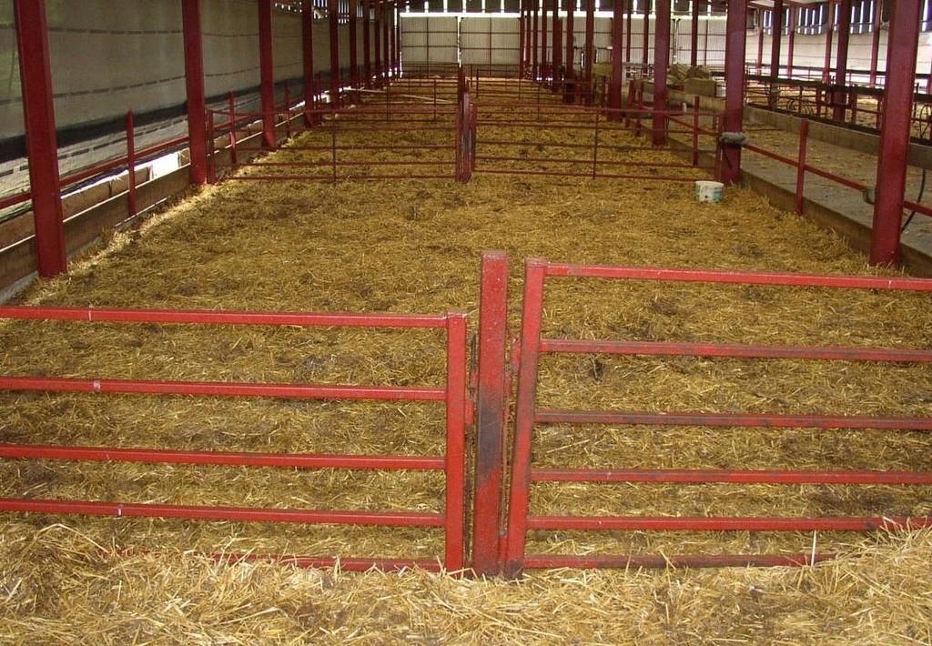 Minimise obstacles in the pen & hinge dividing gates between pens for easier bedding & cleaning.