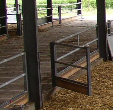 The bottom board of this small gate should open along with the gate to make it easier to encourage a ewe out of the pen. Properly hinged 0.