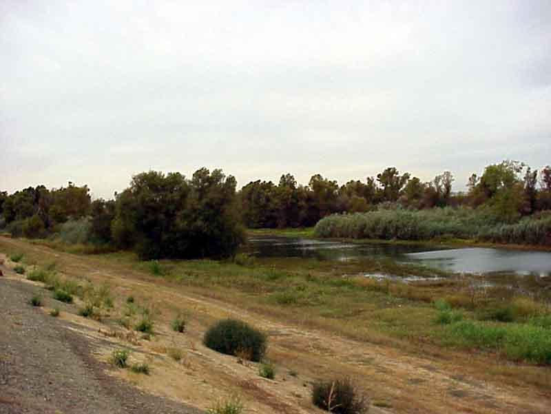 Location The Natomas Basin is a 53,341-acre low-lying area of the Sacramento Valley located in the northern portion of Sacramento County and the southern portion of Sutter County (Figure 1).