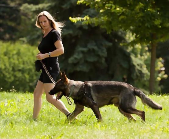 Norma Jeanne s Intermediate Dog Training If you choose to train your dog to obedience trial standard the following will explain our goals.
