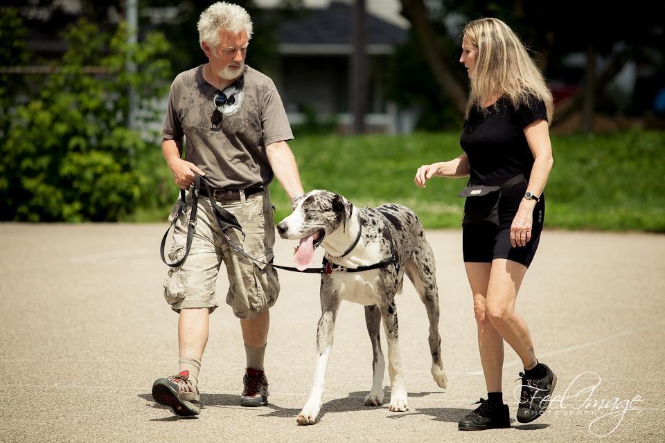 What Is Heel? The first exercise on your Level Two Test is the heeling exercise. In obedience trial standard, heel is a very specific position.