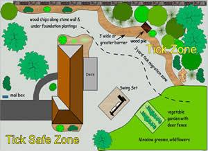 Landscape Management Keep grass mowed Remove brush and leaf litter Discourage rodent activity Move firewood and bird feeders away from houses Increase sunlight trim