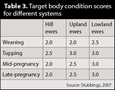 Table 3. Target body condition scores for different systems. Molasses are another source of readily available energy, as well as aiding palatability thus assisting with achieving optimal intakes.