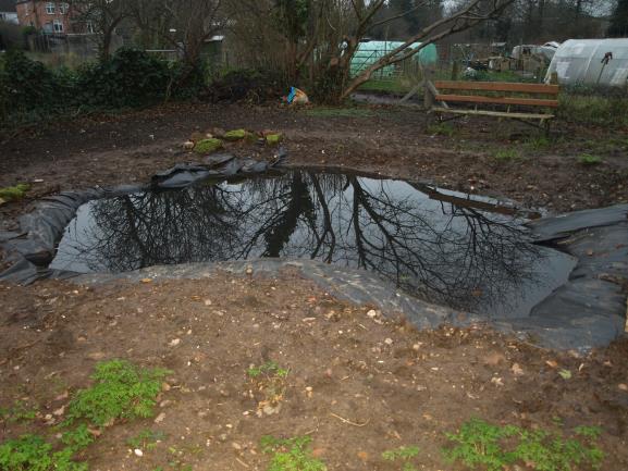 The pond was dug up and re-lined by WART in October 2015, filled in with rainwater during the autumn/winter months and by February 2016 it already had its first