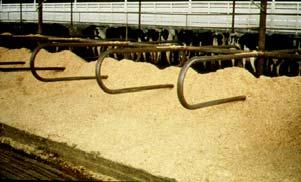 Mattress Stalls Organic Bedding If managed correctly, they can work well Fantastic for tie stall or stanchion barns Extra padding Bedding keepers 90 plus pounds of milk Under 150,000 SCC Wood