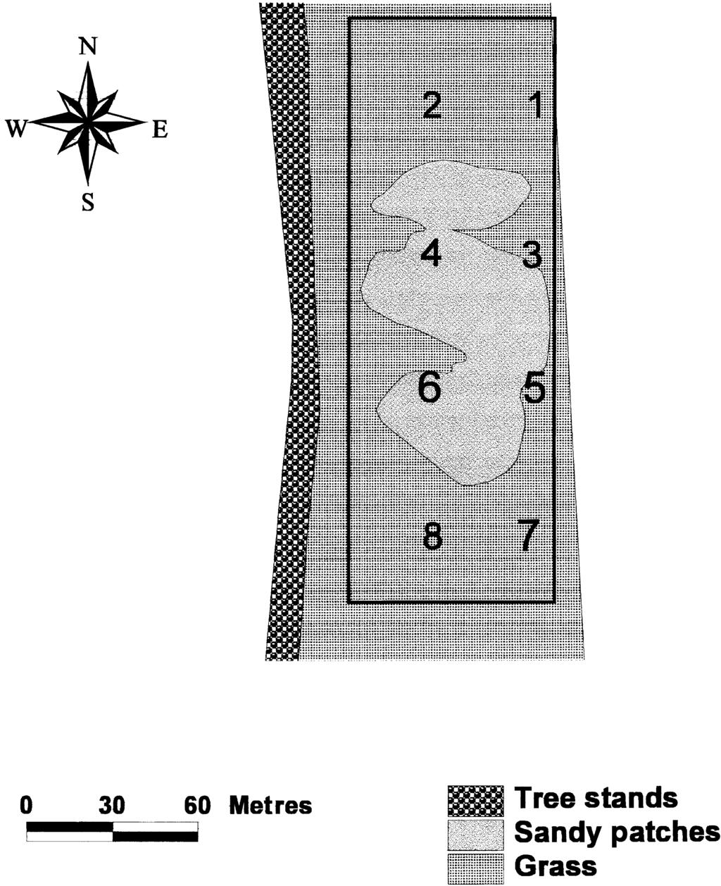 775 Maternal effects and neonate survival and behaviour Fig. 2. Map of the study area, showing the experimental design for the hatchling release.