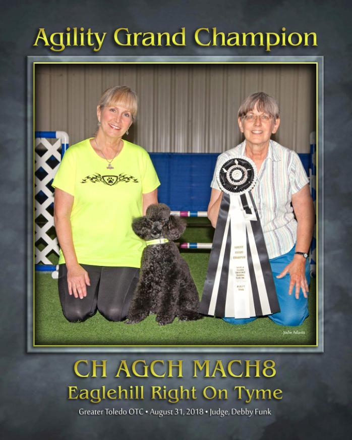 Winkles, Ty Ty earned the AKC Agility Grand Champion title, a Lifetime Achievement award, on Aug 31, 2018 at Greater Toledo KC.