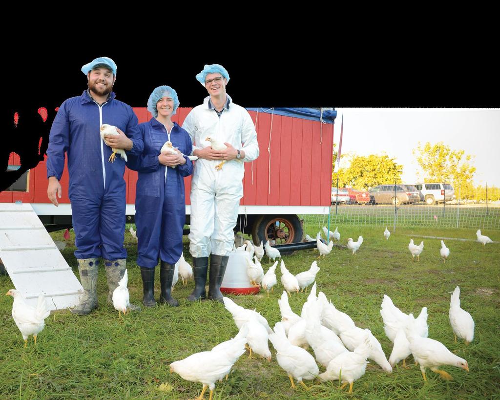 researchers hope to develop innovative solutions benefiting pasture-based farms, integrative cropand-poultry farms and backyard flocks.