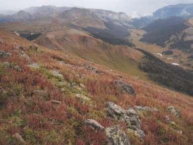 they re-occupy historic ranges and fill in gaps between core use areas (Colorado Parks and Wildlife 2012).