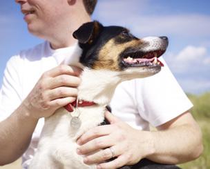 bark control pet doors training systems play & challenge health & wellness