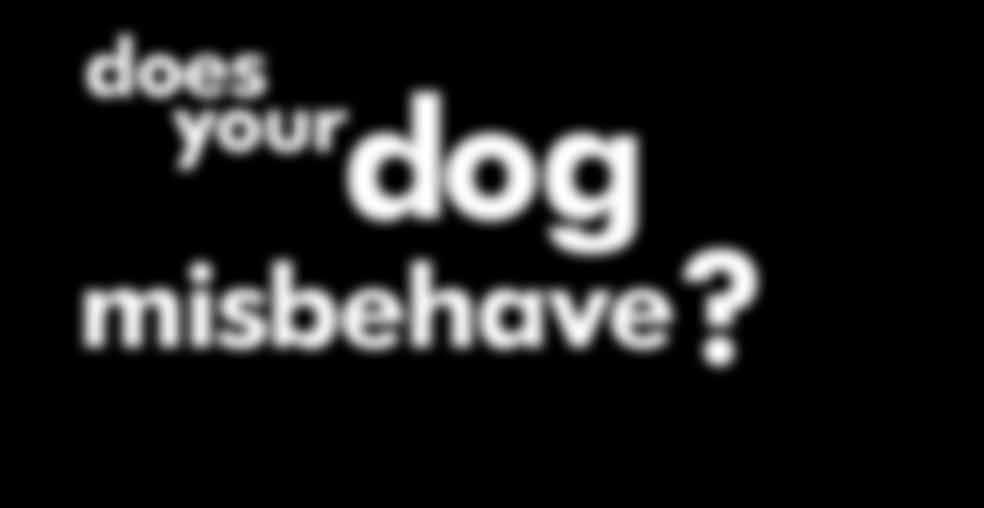 does your dog bark too much? does your dog misbehave?