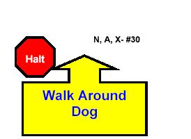 HALT WALK AROUND DOG With the dog sitting in heel position, the handler commands the dog to stay, then proceeds to walk around the dog to the left,