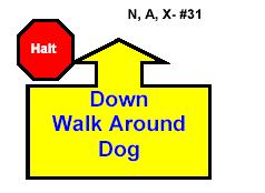 HALT DOWN WALK AROUND DOG With dog sitting in heel position, the handler commands the dog to down and to stay, then proceeds to walk around the dog to