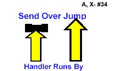 2 Rally Advanced Signs (#32 to #45) HALT ABOUT TURN RIGHT FORWARD With the dog sitting in heel position, the team turns