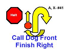 HALT CALL DOG FRONT FINISH RIGHT With the dog sitting in heel position, the handler calls the dog to front, and the dog sits in the front