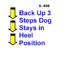 BACK UP 3 STEPS DOG STAYS IN POSITION While heeling, the handler reverses direction walking backward 3 steps, without first halting, then