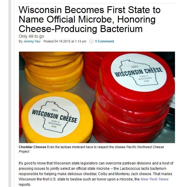 The Wisconsin State microbe is?: A. Saccharomyces cerevisiae B.