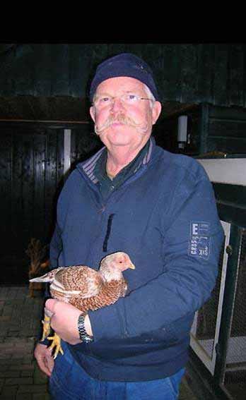 GERRIT GROOTEN... also loves Chickens! Text: Elly Vogelaar. Photos: Aviculture Europe.