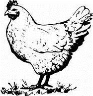 Poultry Show 2018 Hillsborough County Fair Entry Deadlines: All Poultry Show Entries Due (Hand Delivered or Postmarked) October 1, 2018 Important Dates: Fair Clean-Up Day October 6 9:00-12:00 Small