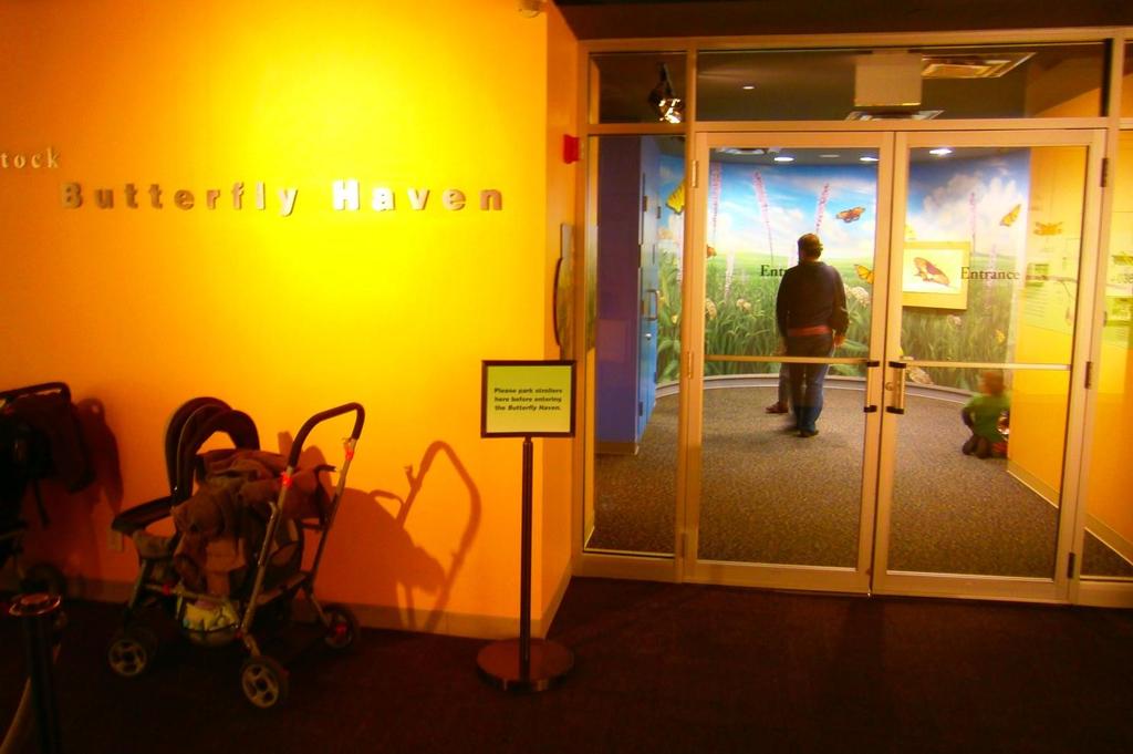 This exhibit is called the Judy Istock Butterfly Haven.