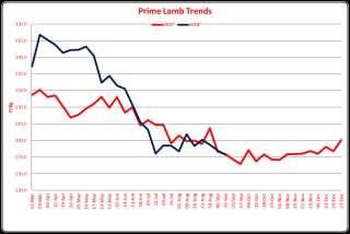 TEL: (01432) 761882 PRIME LAMBS - 2194 MARKET REPORTS 12th September 2018 Auctioneer - Richard Hyde An entry of good quality lambs met a better trade than predicted at 172.9p SQQ. Heavies 94.50. 92.