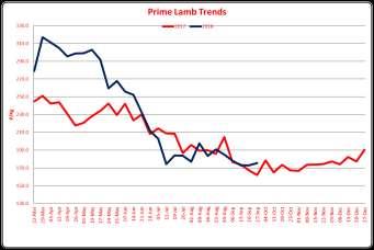 TEL: (01432) 761882 PRIME LAMBS - 1940 MARKET REPORTS WEDNESDAY 26th September 2018 Auctioneer - Richard Hyde A larger entry met an improved trade with SQQ of 175.4p, 2.
