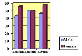 Figure 2: Age and Sex distribution of enterococcus species. Figure 3: Tube test for biofilm formation (strongly positive, moderately positive, weakly positive, negative).