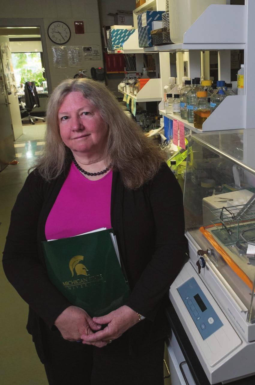 Embracing One Health To assist the National Institutes of Health with insights about all of the microorganisms on and in the human body, Linda Mansfield, MSU AgBioResearch microbiologist and