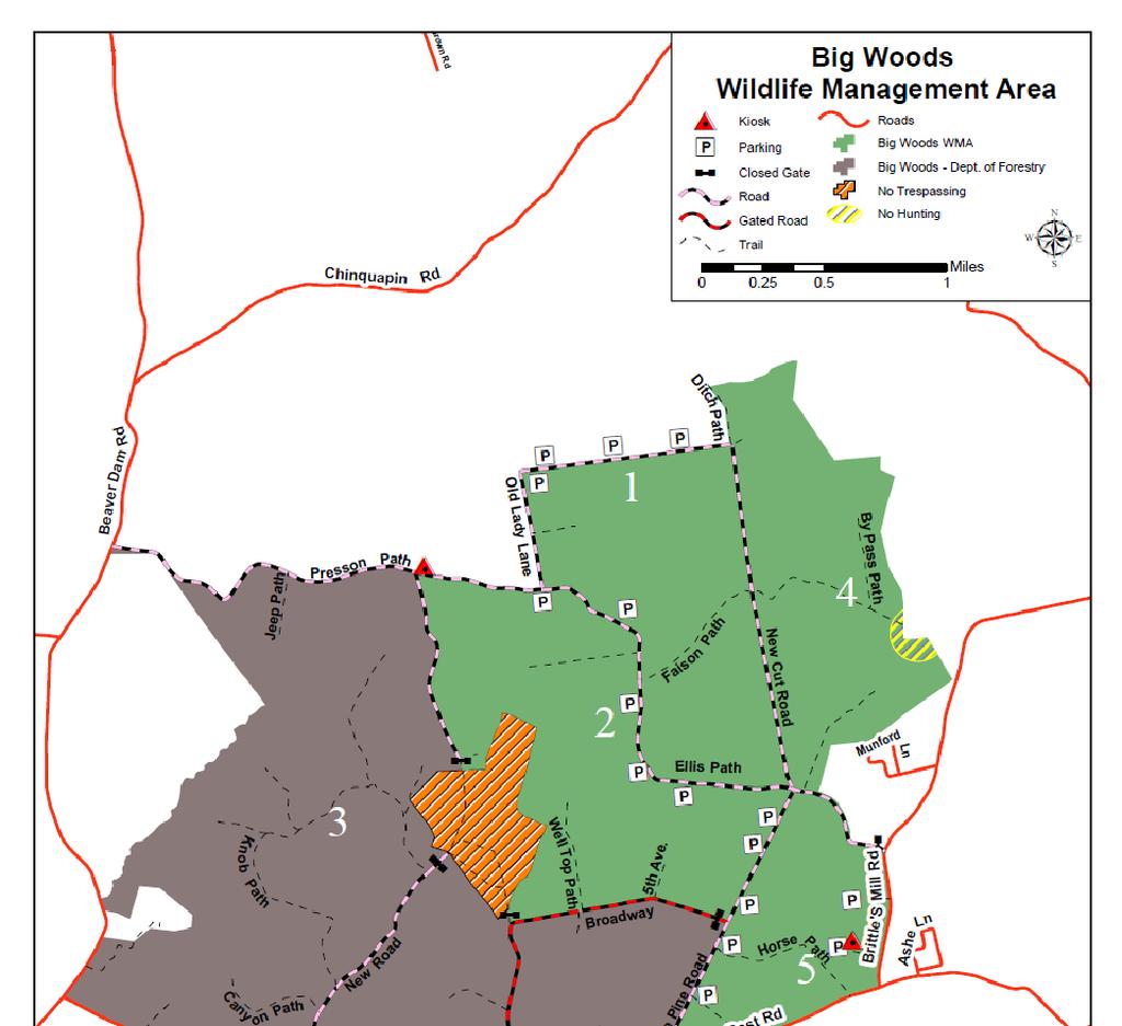 Big Woods Survey Figure 1.