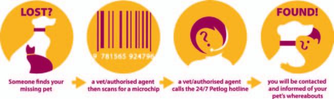 What does it cost to have my pet microchipped? Costs vary so check with your local vet, welfare centre and in the case of young puppies, your breeder should be able to advise you.