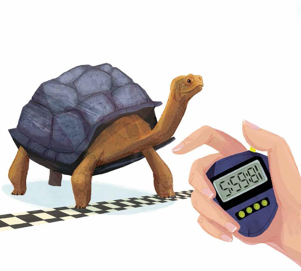 It takes a Galápagos tortoise almost six hours to travel a mile.