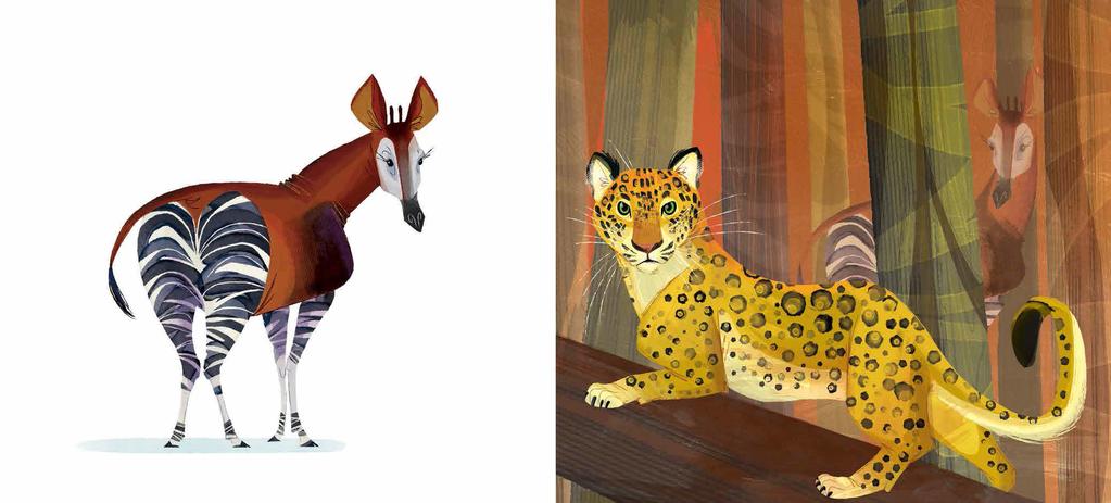 Why does the horse-sized creature choose to live alone in shadowy forests? Ever seen an okapi? If not, you aren t alone.