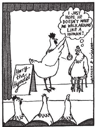 Q: Why did the chicken run across the road? A: There was a car coming.