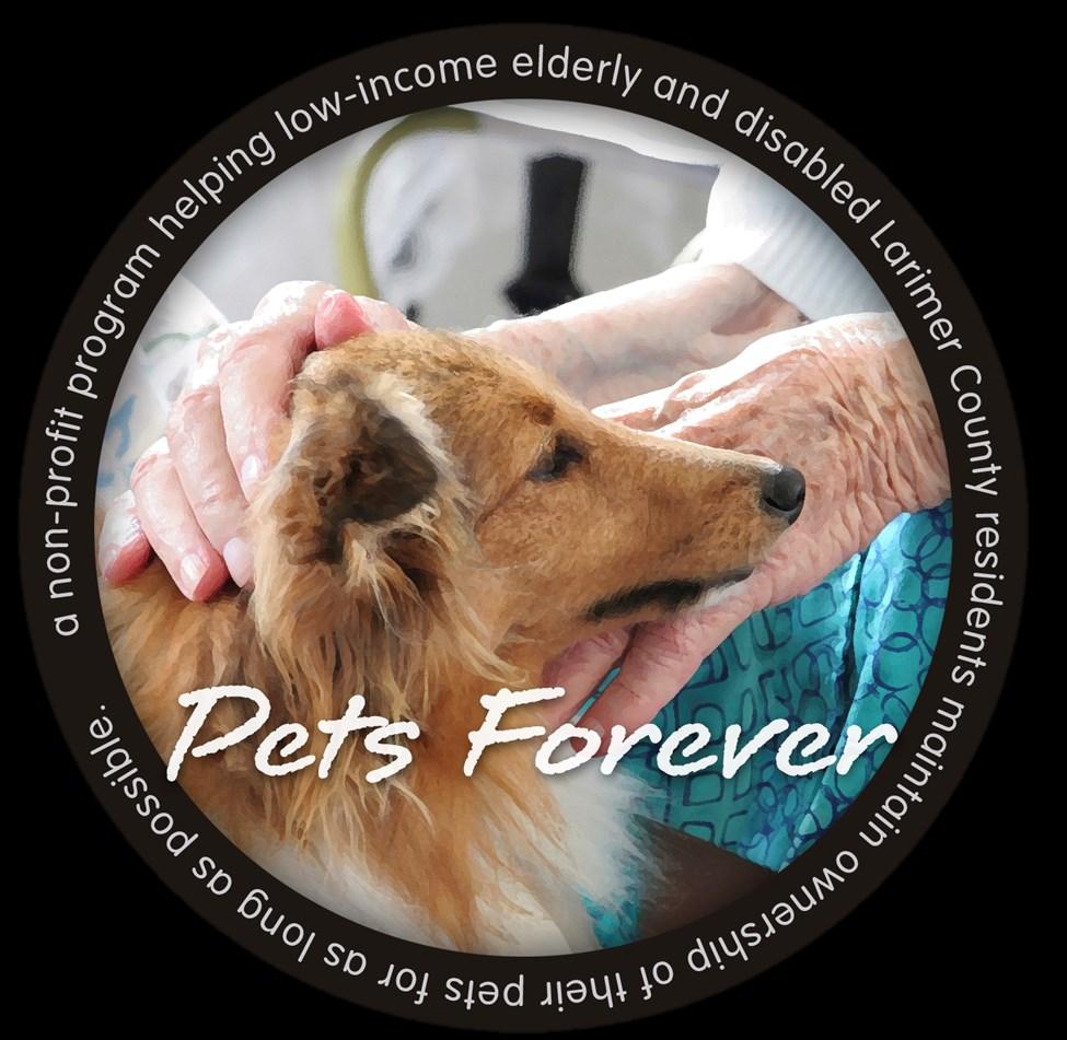 P a g e 4 M o o s N e w s Gaining experience Continuing the theme of fostering human connection and gaining an understanding of the human- animal bond, here is a volunteer experience in town where