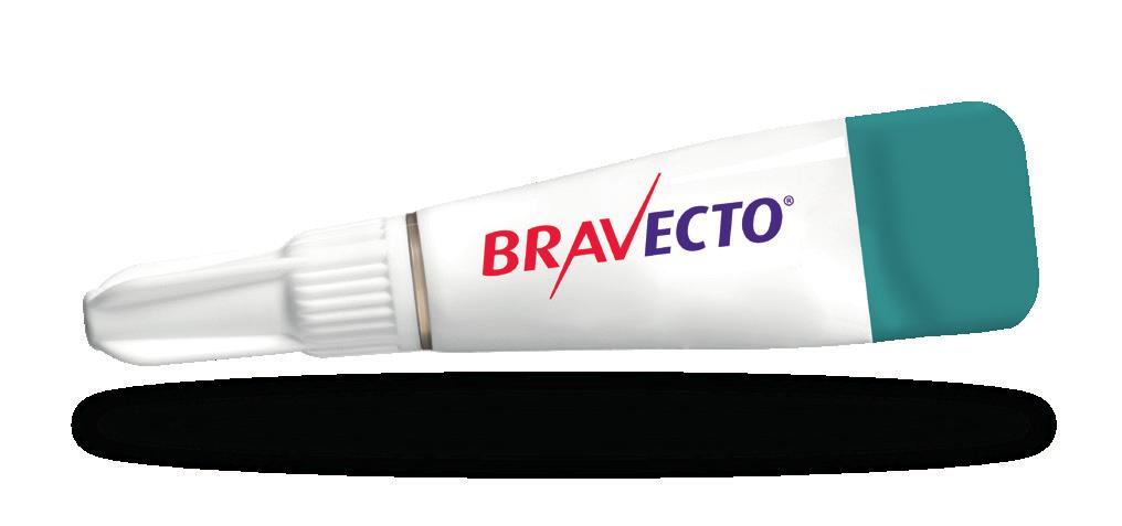 Ask your MSD Animal Health Representative about the NEW Bravecto Spot-on range for dogs and cats or call the Bravecto hotline on 1800 230 833. bravectoaustralia@merck.com www.bravecto.com.au BravectoAU BravectoAU 1.