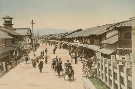 History In the late 1800s The dairy sector in Japan was growing fast. During this period, bovine tuberculosis (TB) became a major problem in imported dairy cattle.