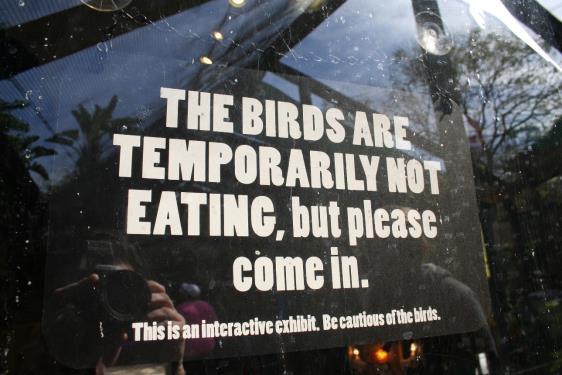 Other times, we will see a sign that says the birds are temporarily NOT